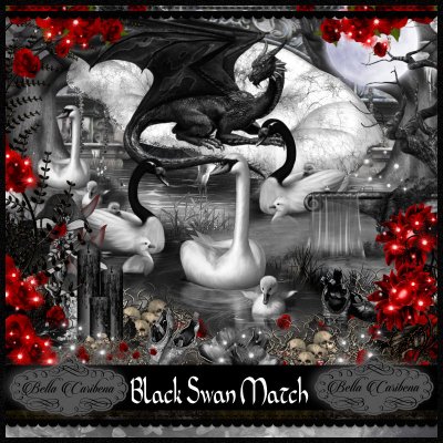 Black Swan Match kit