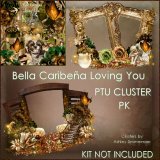 Loving You, cluster pk 2