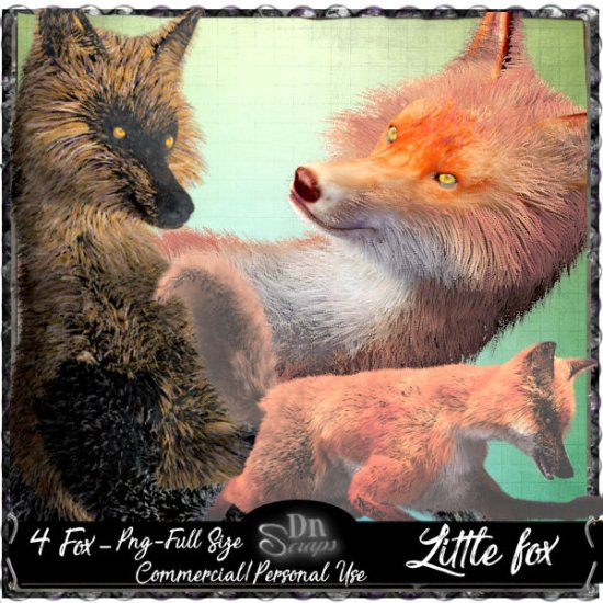 Little fox - Click Image to Close