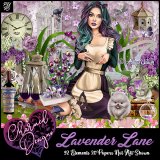 Lavender Lane
