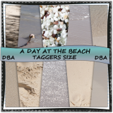 A Day At The beach TS