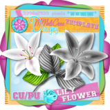 Lily Flower Template/ CU