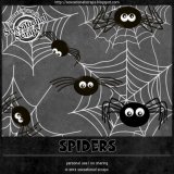 Spiders CU