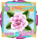 Gardenia Flower Script/ CU