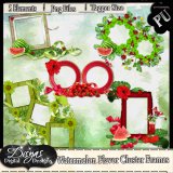 WATERMELON FLAVOR CLUSTER FRAME PACK - TAGGER SIZE