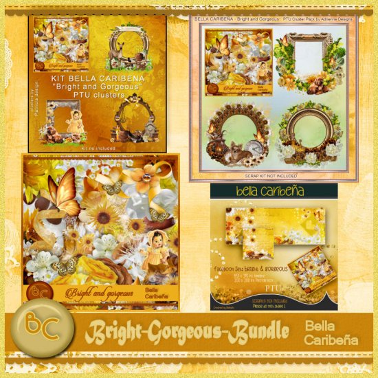 Bright and Gorgeous Bundle (TS_PU) - Click Image to Close