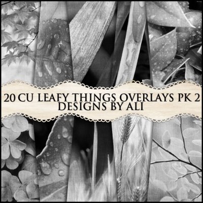 CU Leafy Things Overlays TS Pk 2