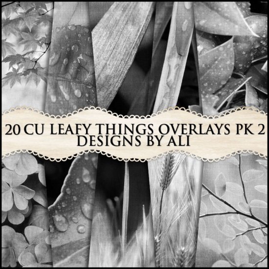 CU Leafy Things Overlays TS Pk 2 - Click Image to Close