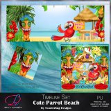 Cute Parrot Beach
