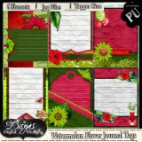 WATERMELON FLAVOR JOURNAL TAG PACK - TAGGER SIZE