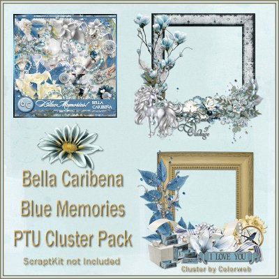 Blue Memories Cluster 1