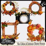 THE COLORS OF THE AUTUMN CLUSTER FRAME PACK - TS