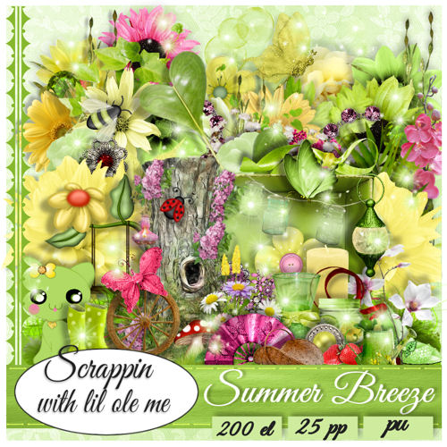 Summer Breeze Taggers Kit - Click Image to Close