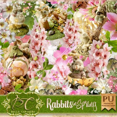 Rabbits in Spring